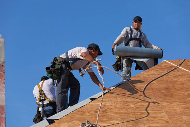 Best New Roof Installation  in Little Chute, WI
