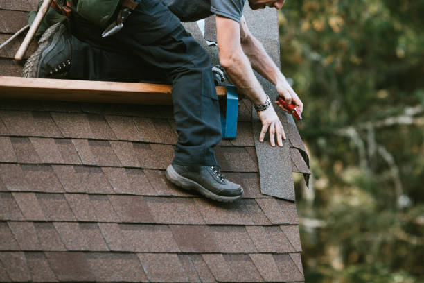 Best Roof Maintenance Services  in Little Chute, WI